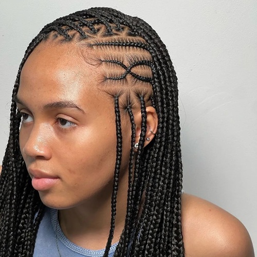 Fulani Braids